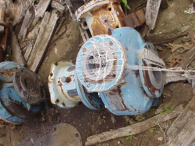 Goulds Model L Lined pump.  No base or motor.